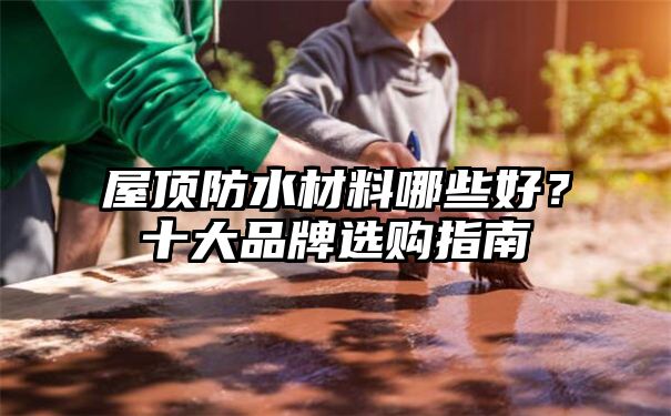 屋顶防水材料哪些好？十大品牌选购指南