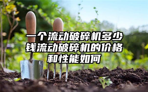 一个流动破碎机多少钱流动破碎机的价格和性能如何