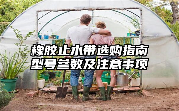 橡胶止水带选购指南型号参数及注意事项