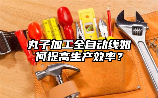 丸子加工全自动线如何提高生产效率？