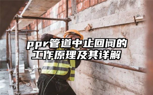 ppr管道中止回阀的工作原理及其详解