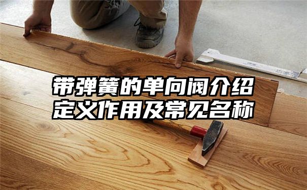 带弹簧的单向阀介绍定义作用及常见名称