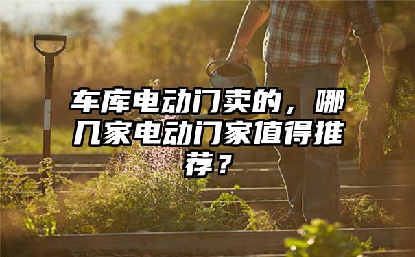 车库电动门卖的，哪几家电动门家值得推荐？