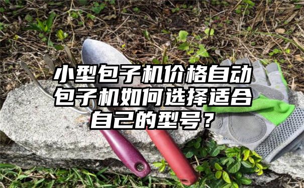 小型包子机价格自动包子机如何选择适合自己的型号？