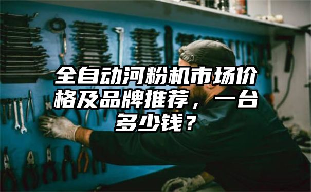 全自动河粉机市场价格及品牌推荐，一台多少钱？