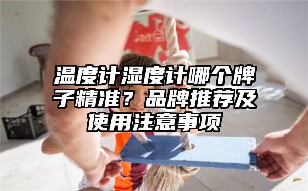 温度计湿度计哪个牌子精准？品牌推荐及使用注意事项