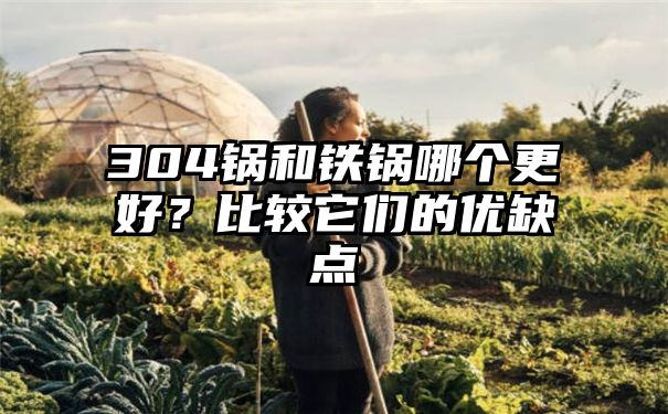 304锅和铁锅哪个更好？比较它们的优缺点