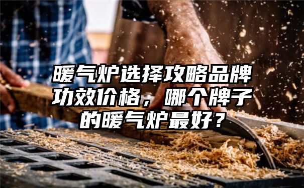 暖气炉选择攻略品牌功效价格，哪个牌子的暖气炉最好？