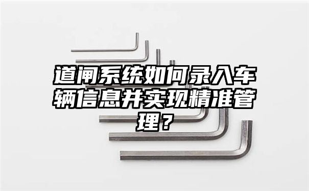 道闸系统如何录入车辆信息并实现精准管理？