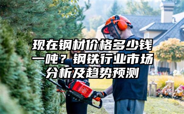 现在钢材价格多少钱一吨？钢铁行业市场分析及趋势预测