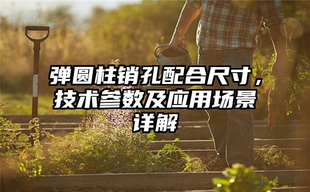 弹圆柱销孔配合尺寸，技术参数及应用场景详解