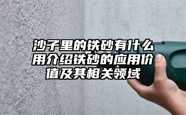 沙子里的铁砂有什么用介绍铁砂的应用价值及其相关领域