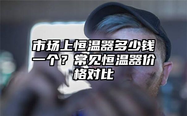 市场上恒温器多少钱一个？常见恒温器价格对比