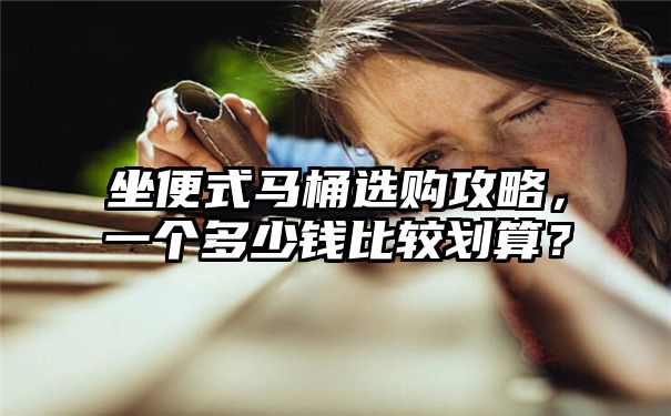 坐便式马桶选购攻略，一个多少钱比较划算？