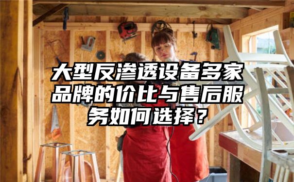 大型反渗透设备多家品牌的价比与售后服务如何选择？