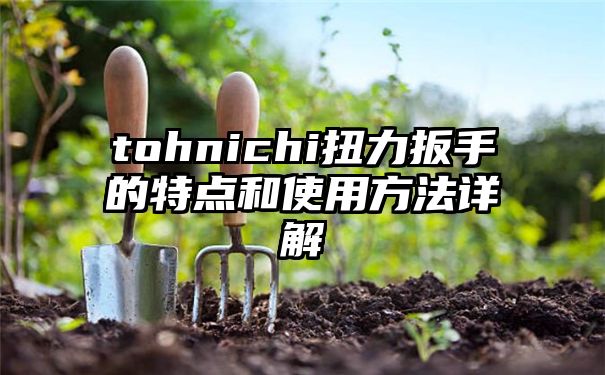 tohnichi扭力扳手的特点和使用方法详解