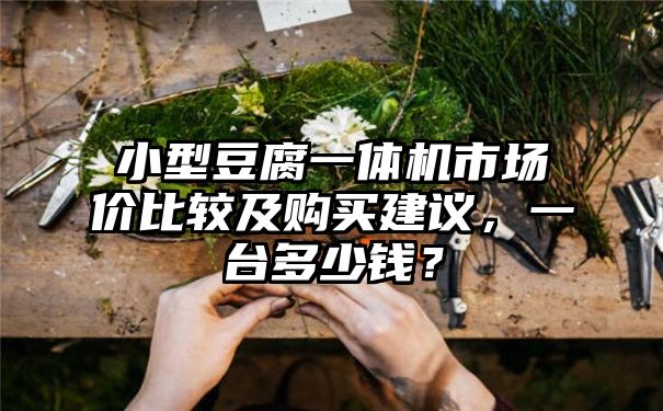 小型豆腐一体机市场价比较及购买建议，一台多少钱？