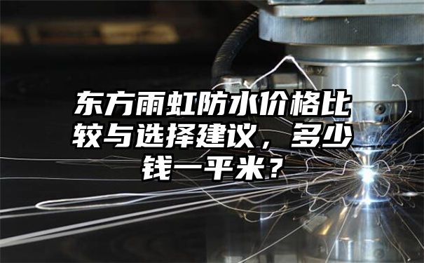 东方雨虹防水价格比较与选择建议，多少钱一平米？