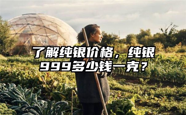 了解纯银价格，纯银999多少钱一克？