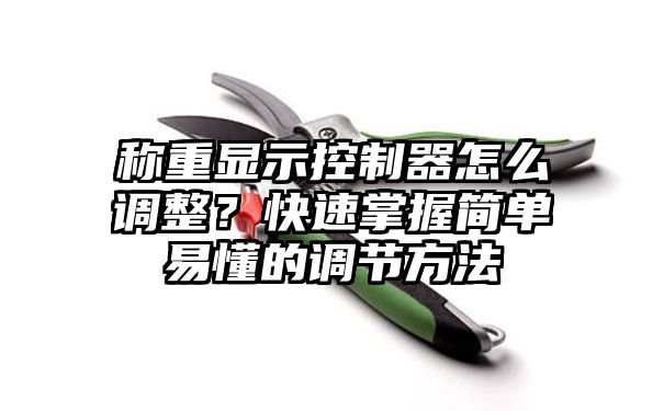 称重显示控制器怎么调整？快速掌握简单易懂的调节方法