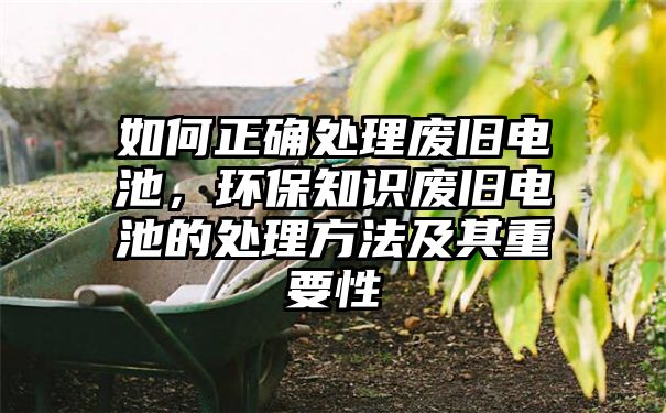 如何正确处理废旧电池，环保知识废旧电池的处理方法及其重要性