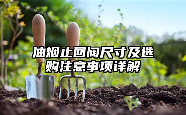 油烟止回阀尺寸及选购注意事项详解