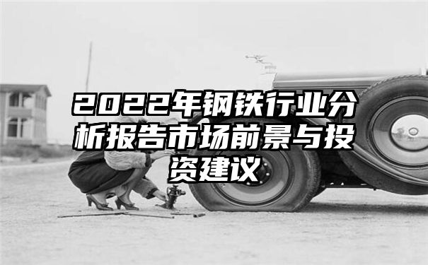 2022年钢铁行业分析报告市场前景与投资建议