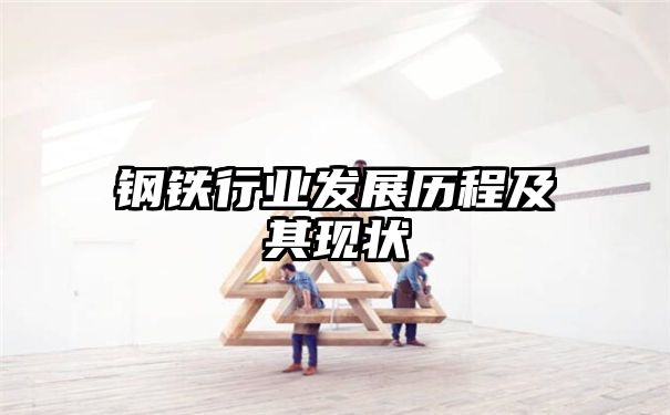 钢铁行业发展历程及其现状