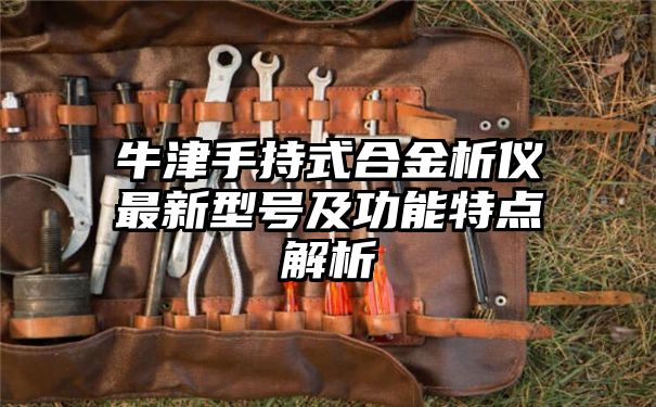 牛津手持式合金析仪最新型号及功能特点解析