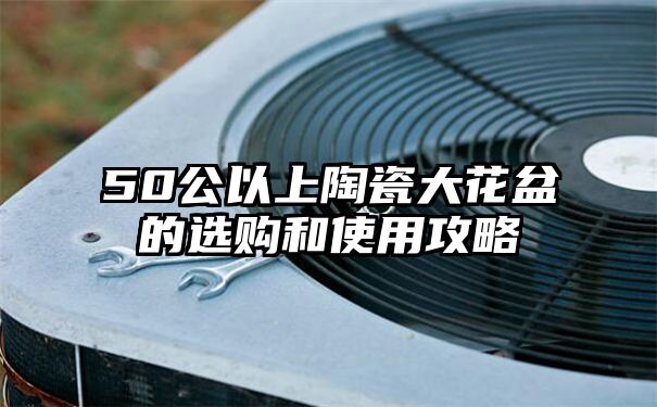 50公以上陶瓷大花盆的选购和使用攻略