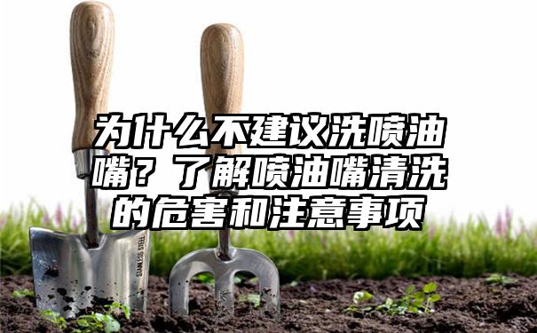 为什么不建议洗喷油嘴？了解喷油嘴清洗的危害和注意事项