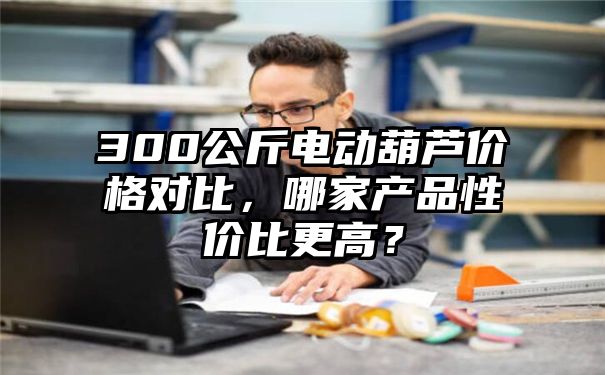 300公斤电动葫芦价格对比，哪家产品性价比更高？