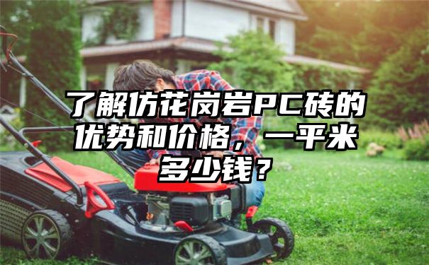 了解仿花岗岩PC砖的优势和价格，一平米多少钱？