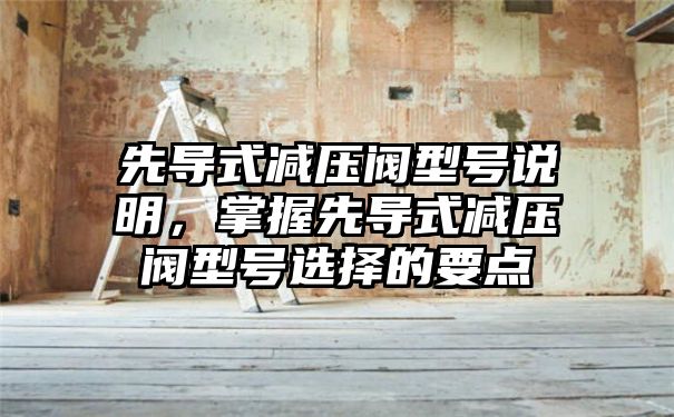 先导式减压阀型号说明，掌握先导式减压阀型号选择的要点