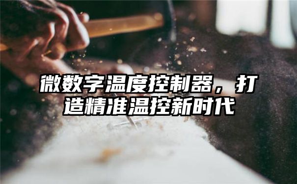 微数字温度控制器，打造精准温控新时代