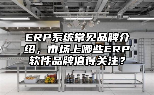 ERP系统常见品牌介绍，市场上哪些ERP软件品牌值得关注？