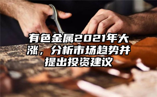 有色金属2021年大涨，分析市场趋势并提出投资建议