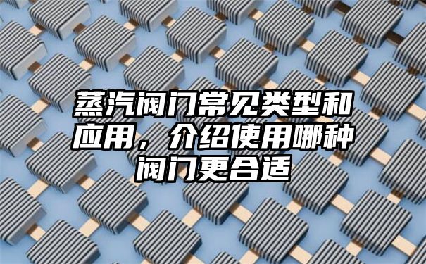 蒸汽阀门常见类型和应用，介绍使用哪种阀门更合适