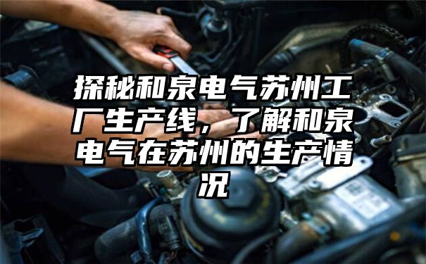 探秘和泉电气苏州工厂生产线，了解和泉电气在苏州的生产情况