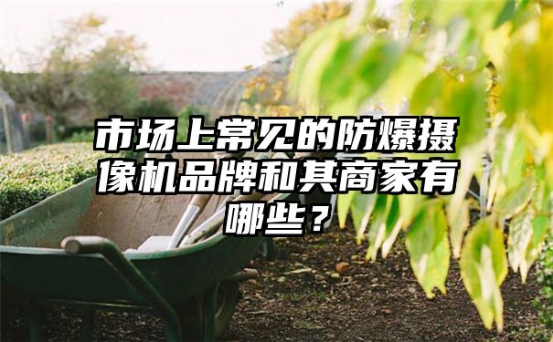 市场上常见的防爆摄像机品牌和其商家有哪些？