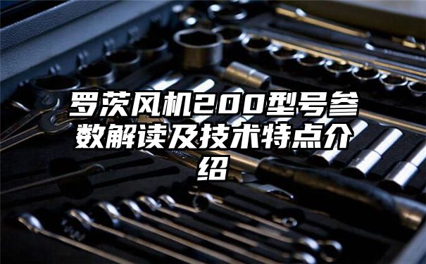 罗茨风机200型号参数解读及技术特点介绍