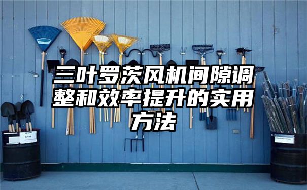 三叶罗茨风机间隙调整和效率提升的实用方法