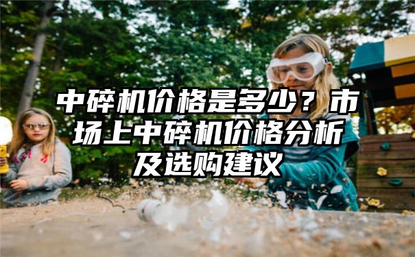 中碎机价格是多少？市场上中碎机价格分析及选购建议