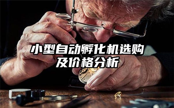 小型自动孵化机选购及价格分析