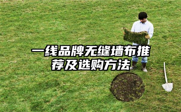 一线品牌无缝墙布推荐及选购方法