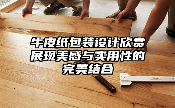 牛皮纸包装设计欣赏展现美感与实用性的完美结合