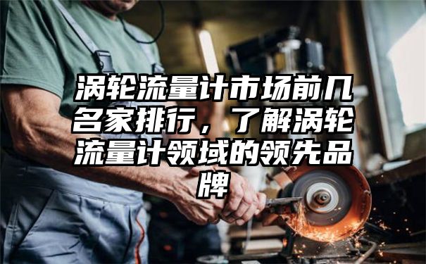 涡轮流量计市场前几名家排行，了解涡轮流量计领域的领先品牌