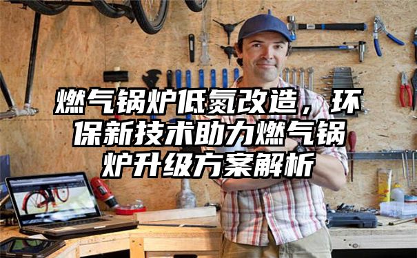 燃气锅炉低氮改造，环保新技术助力燃气锅炉升级方案解析