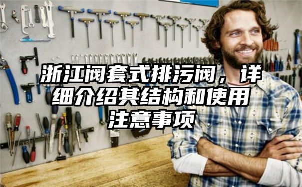 浙江阀套式排污阀，详细介绍其结构和使用注意事项