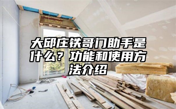 大邱庄铁哥门助手是什么？功能和使用方法介绍